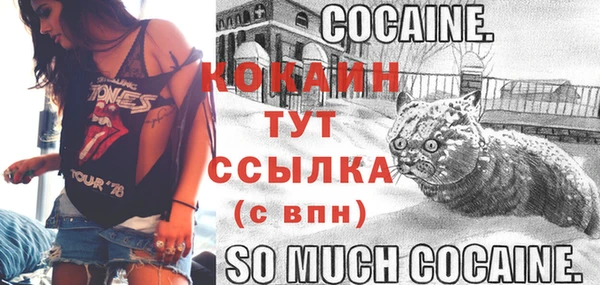 твердый Беломорск
